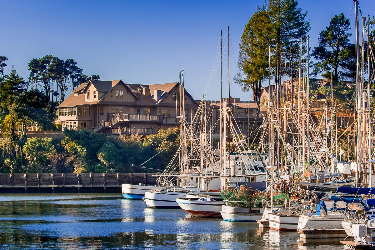 boats docked at a harbor