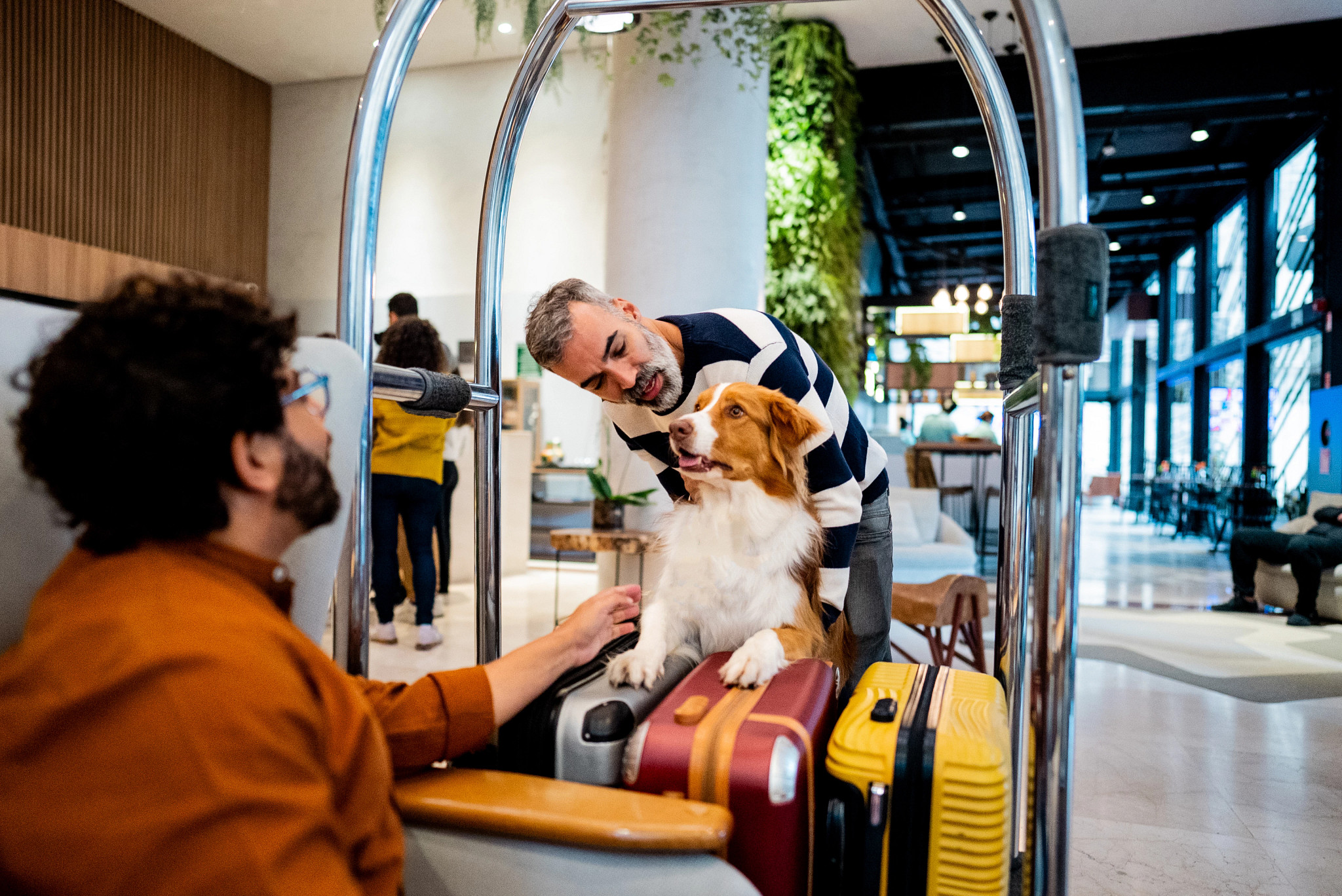 two men looking at a dog that's partially on top of suitcases in a hotel lobby