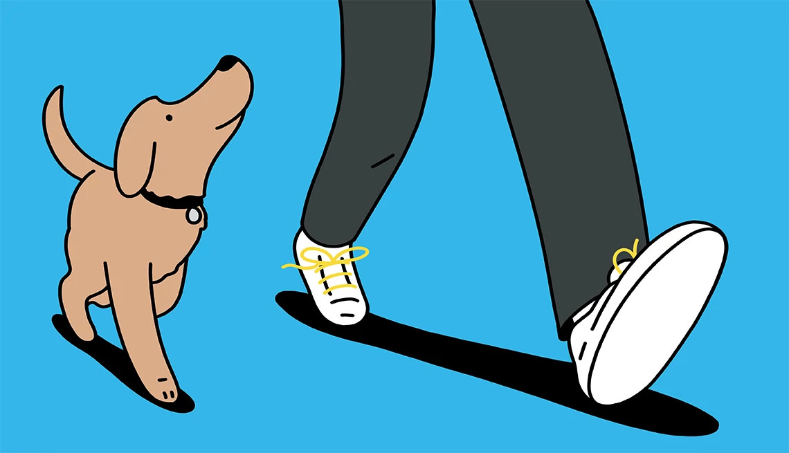 An illustration shows an owner walking a dog amid a blue background