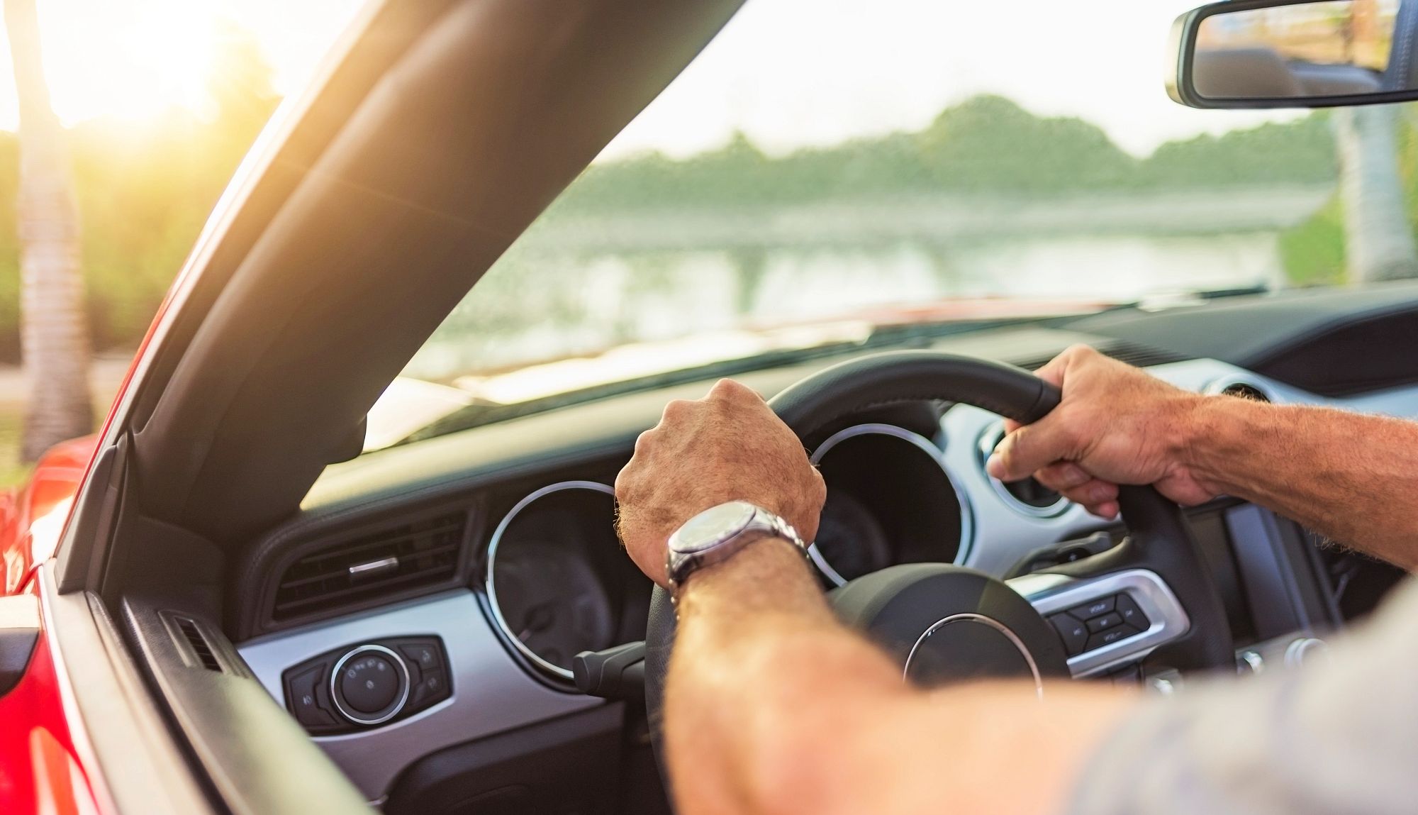 Renewing Your Driver's License a person holding a steering wheel