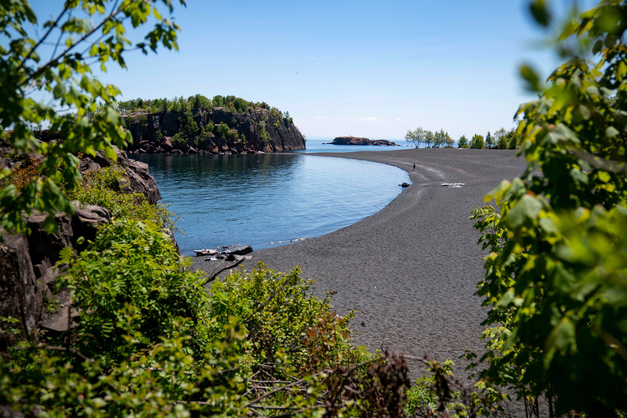 trees giving way to black sand at Black Beach