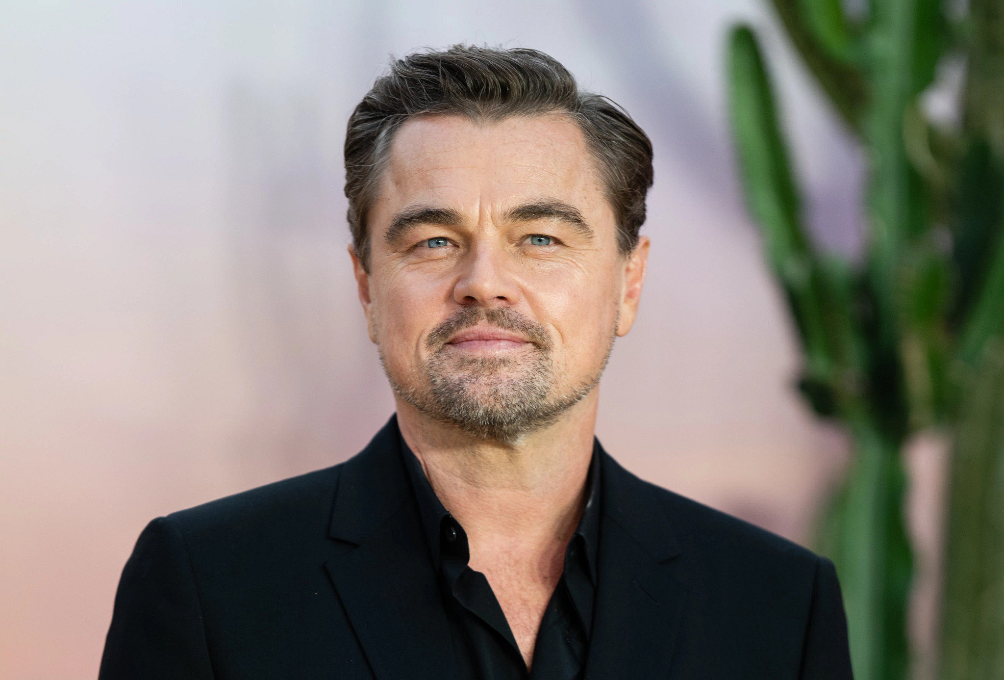 https://aarp.widen.net/content/0tjnikbkrh/jpeg/GettyImages-2235822276.jpg?crop=true&anchor=0,73&q=80&color=ffffffff&u=7xsf69&w=2048&h=1177