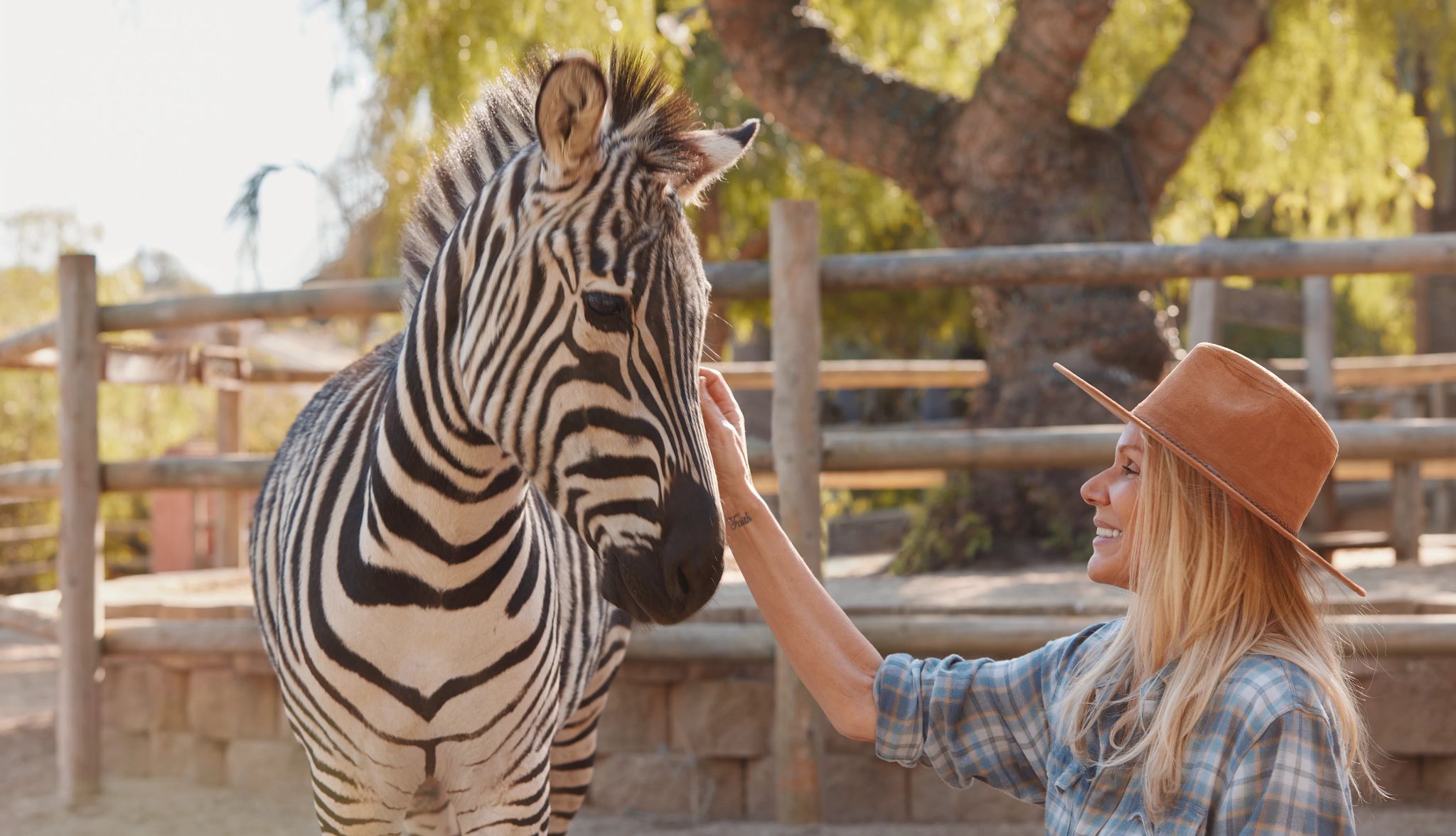 A New Life for Once-Doomed Animals a woman standing next to a zebra