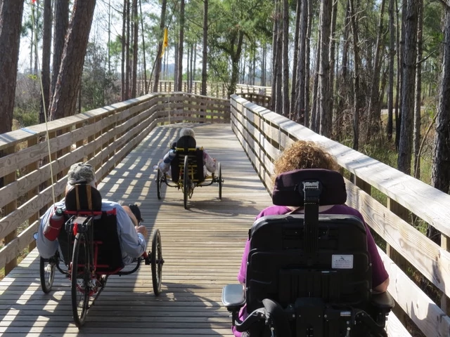 a person in a wheelchair