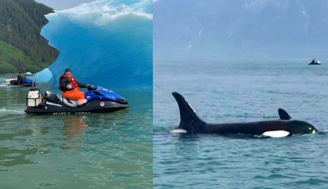 Retirementmoon a split image of a man on a jet ski and a whale in the ocean