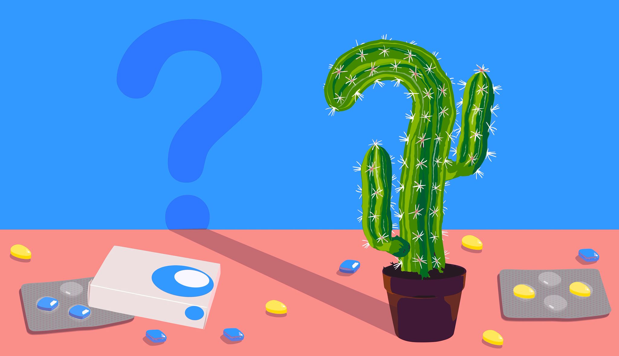 Sex questions, answered cactus plant on a countertop with medication