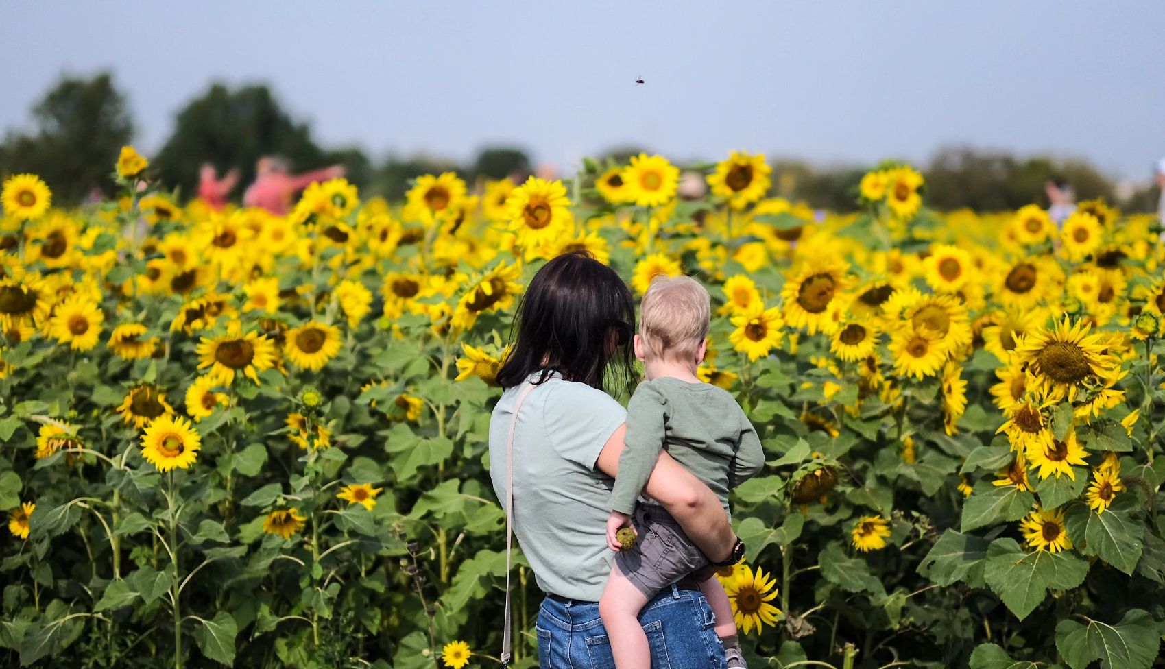 Colorful Fall Fests a woman and child look at a field of sunflowers