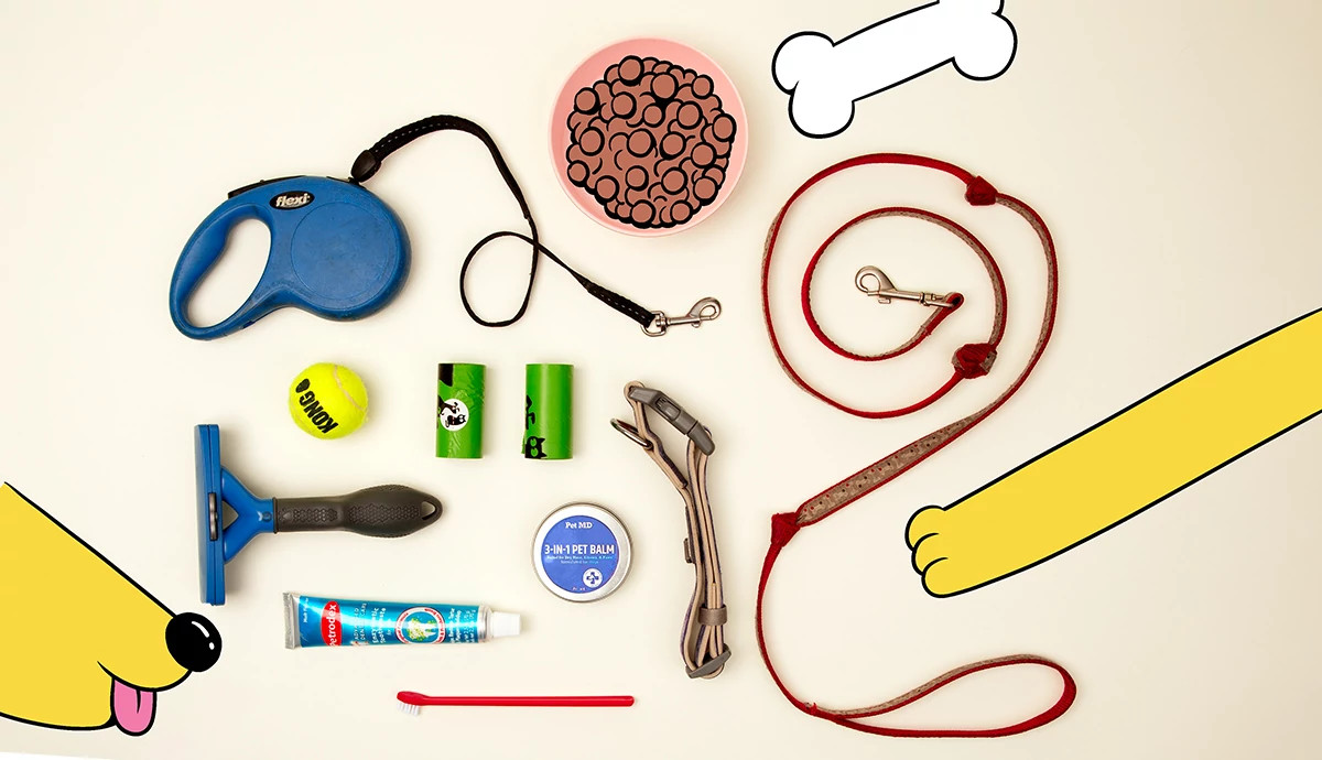 An array of pet products.