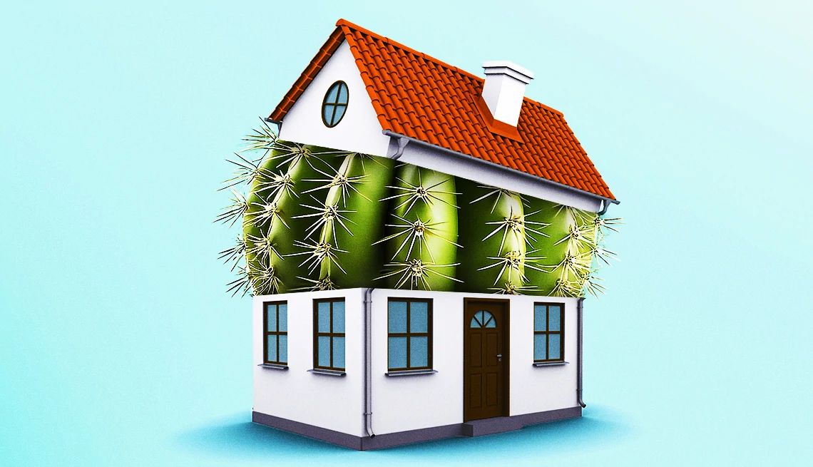 Smart Guide: Indoor Plants A graphic illustration shows an A-frame house in front of a light-blue background with a cactus bursting through its roof.