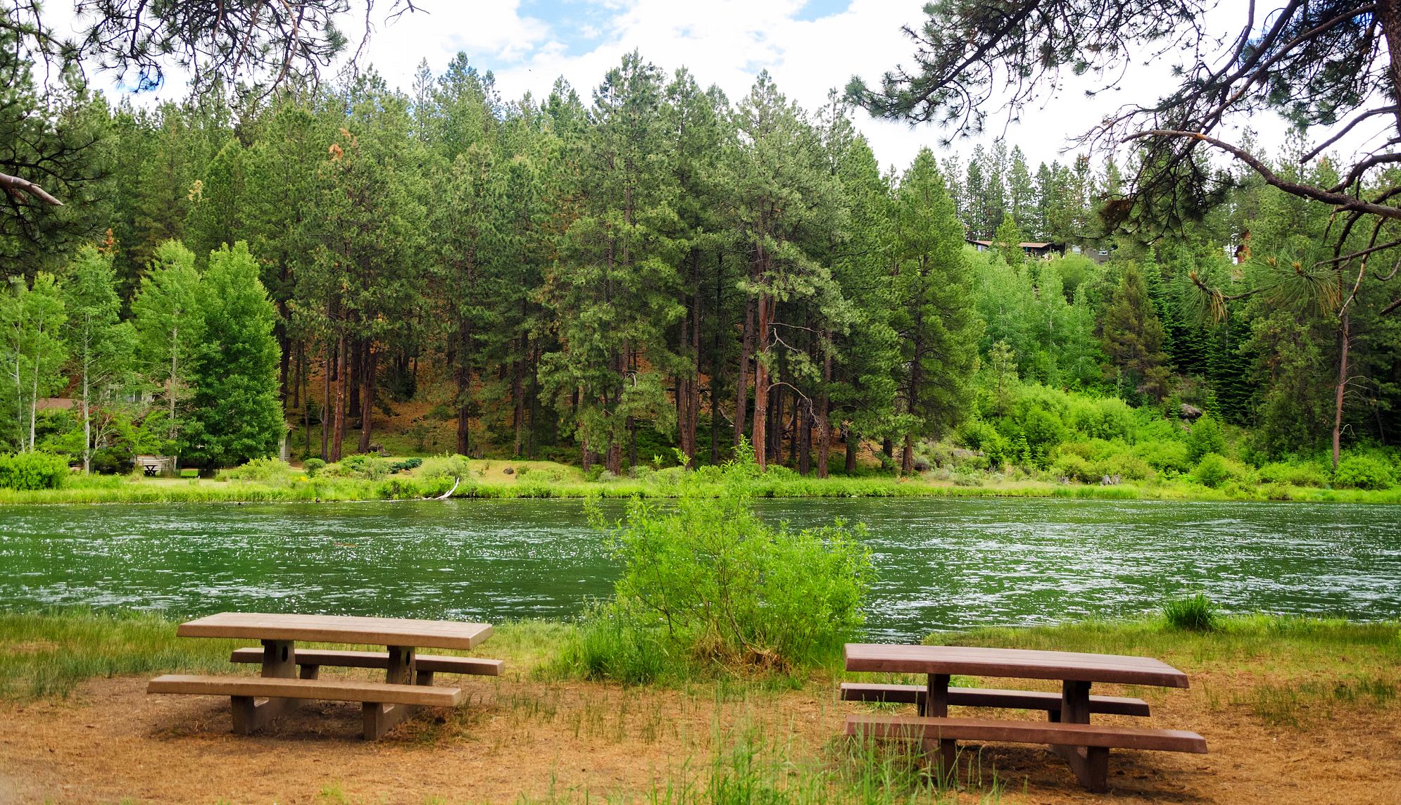 Tumalo State Park camping tables near a body of water and trees