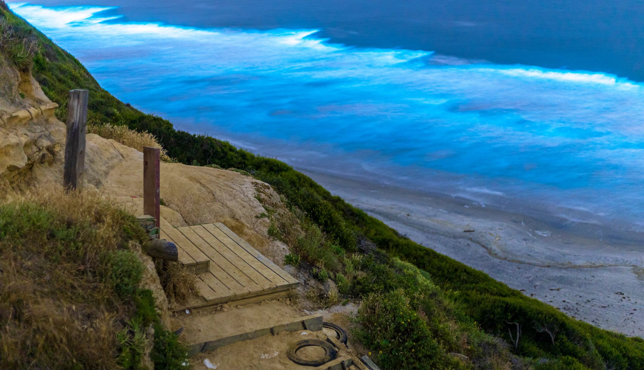 bioluminescent phytoplankton off the shore of a san diego county beach