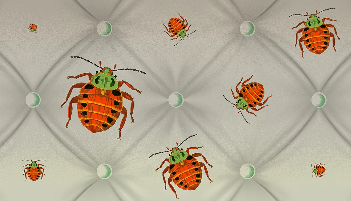 ilustración de chinches en un colchón