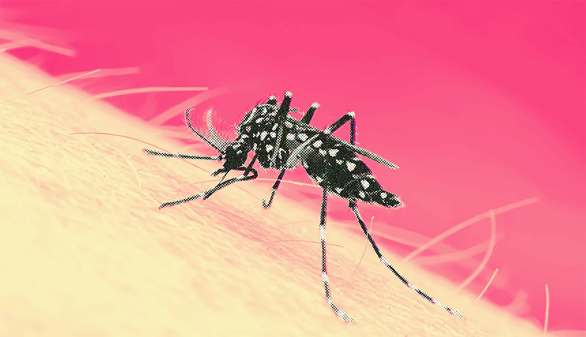 Lo que debes saber sobre el dengue Ilustración de un mosquito posado sobre una persona