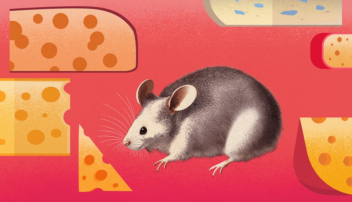 sealing holes is a technique to help prevent mice an illustration of a mouse and cheese