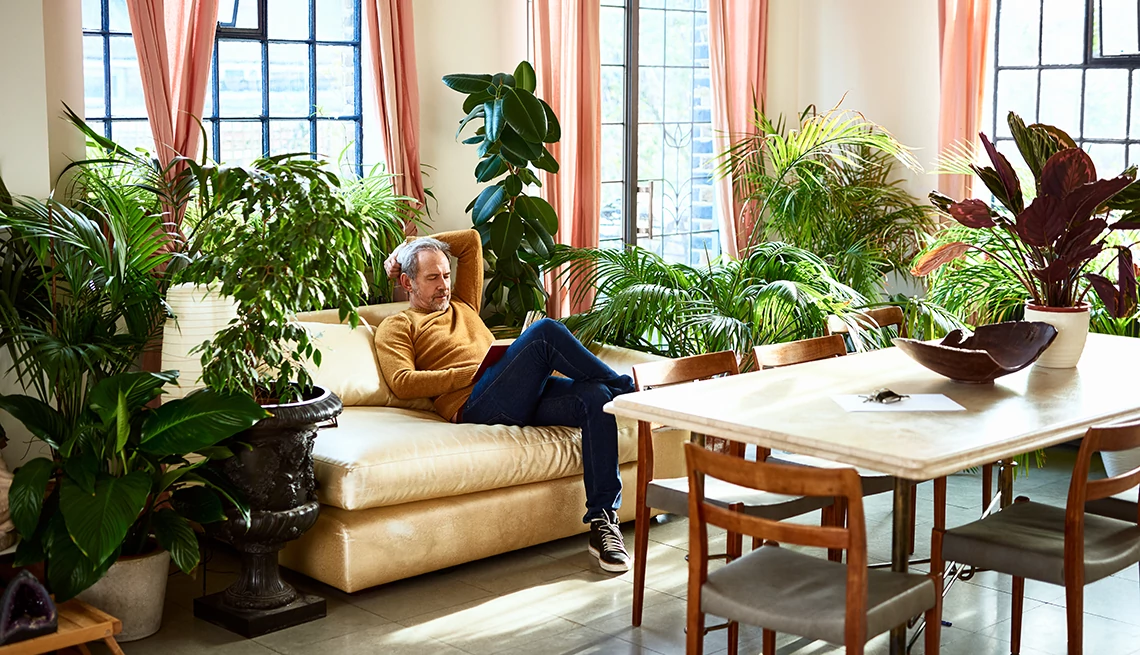6 Chic Ways to Integrate Indoor Plants Into Your Home Decor - Vimarsana News