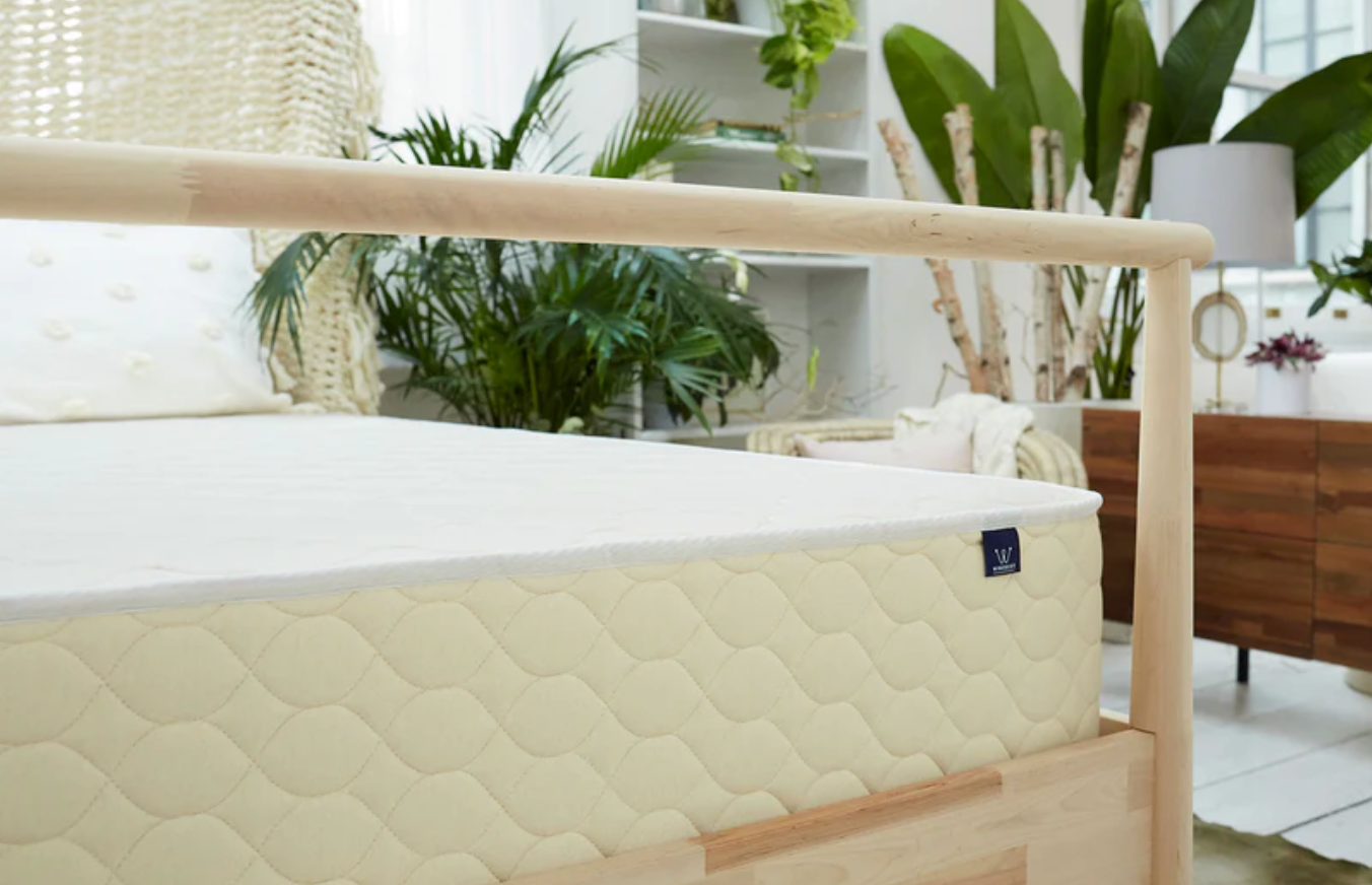 The WinkBeds EcoCloud displayed in a bedroom surrounded by tropical plants