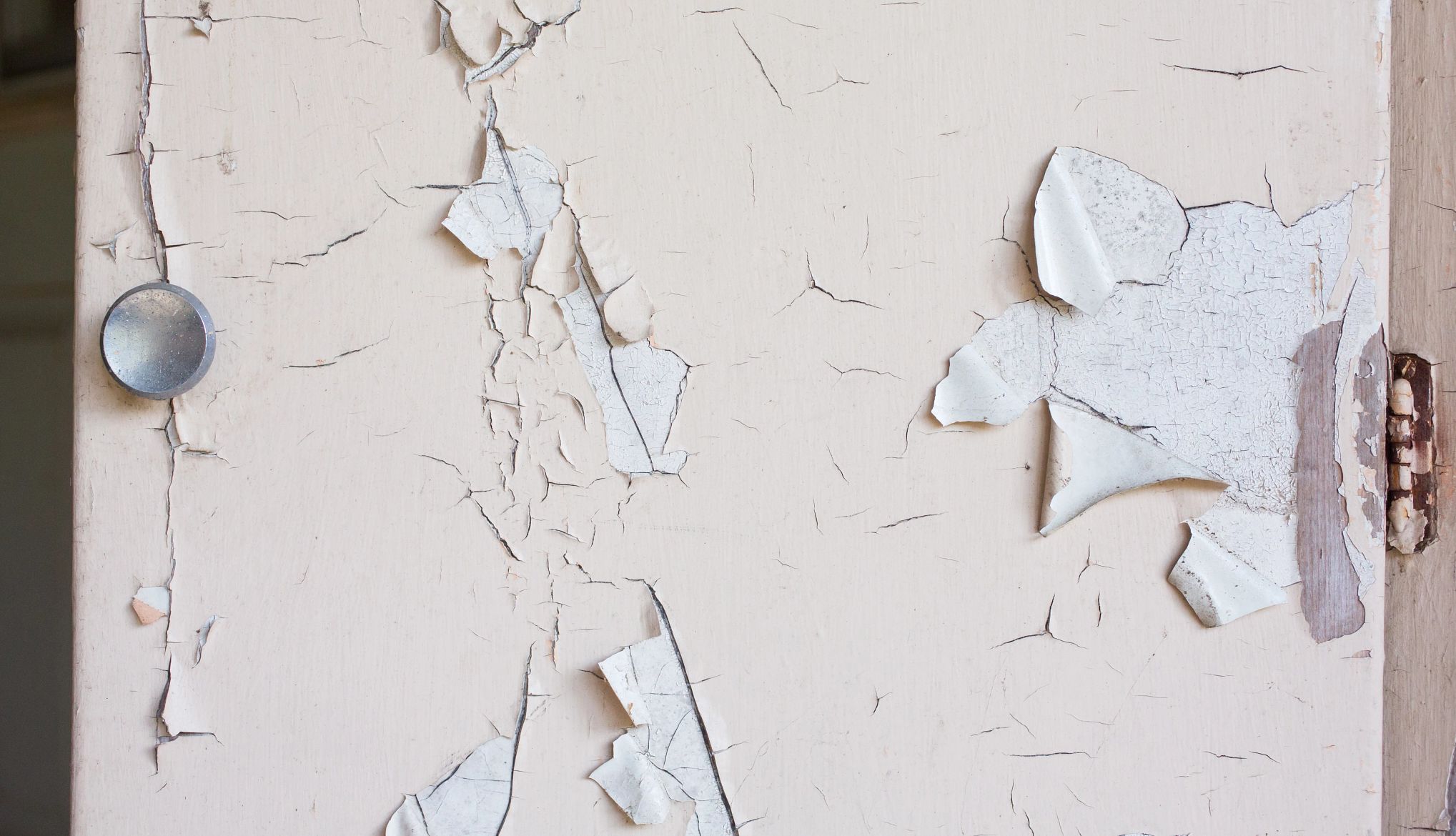 Checking for lead paint close up of a white wall with peeling paint