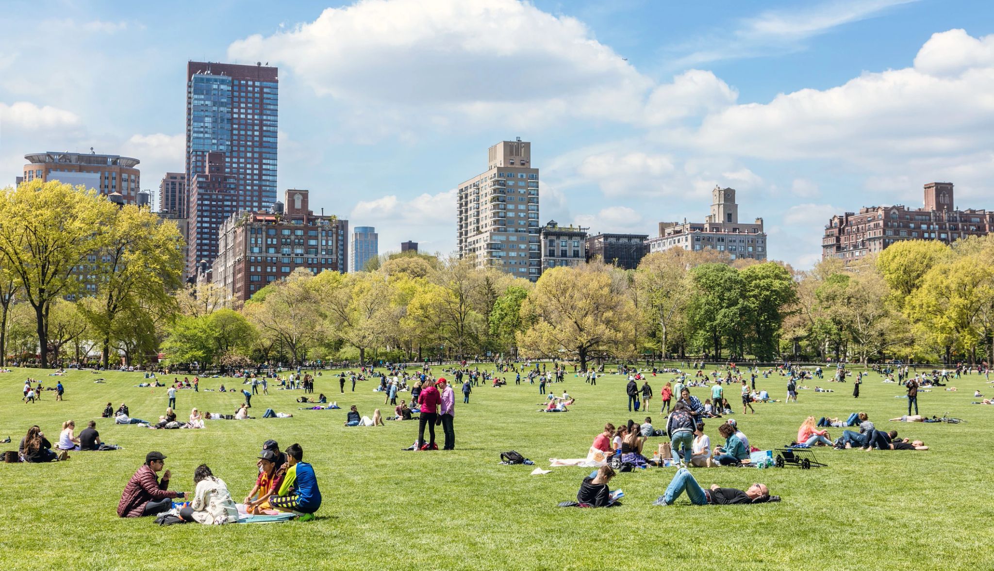 Central Park in Springtime central Park in springtime, New York city, USA
