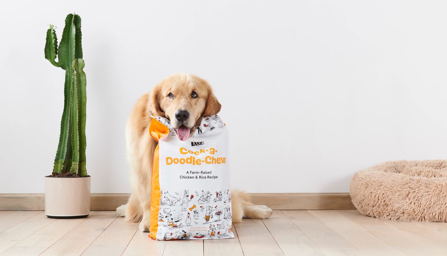 BarkBox is a subscription service  Golden Retriever eats a Cock-a-Doodle-Chew