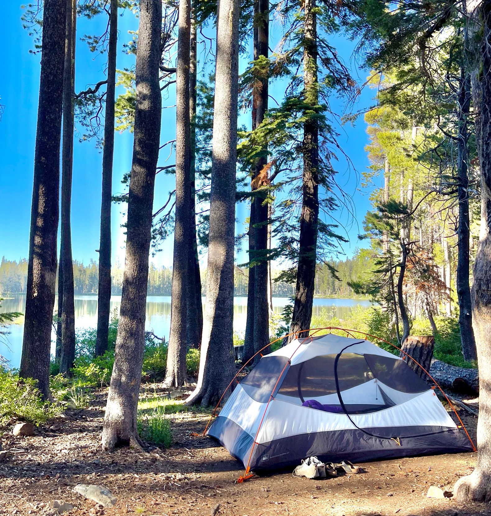 Camping Tent a tent in the woods by a lake