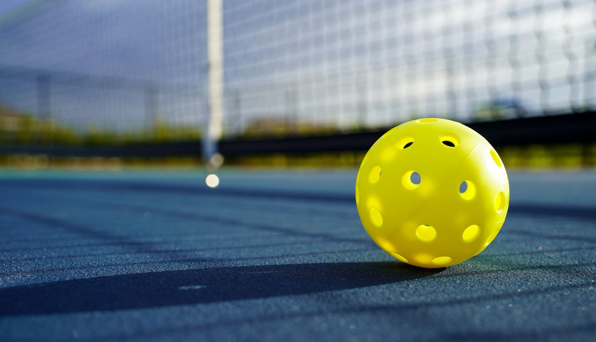 a pickleball a pickleball