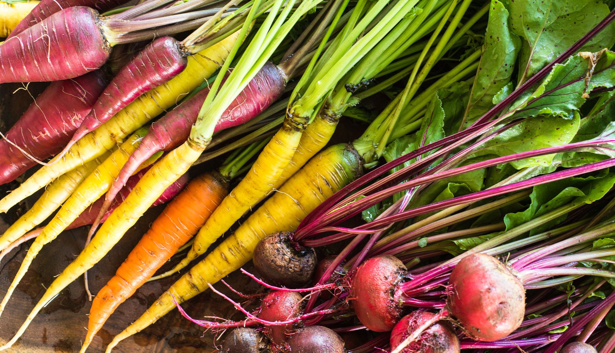 an assortment of mult-colored carrots and beets