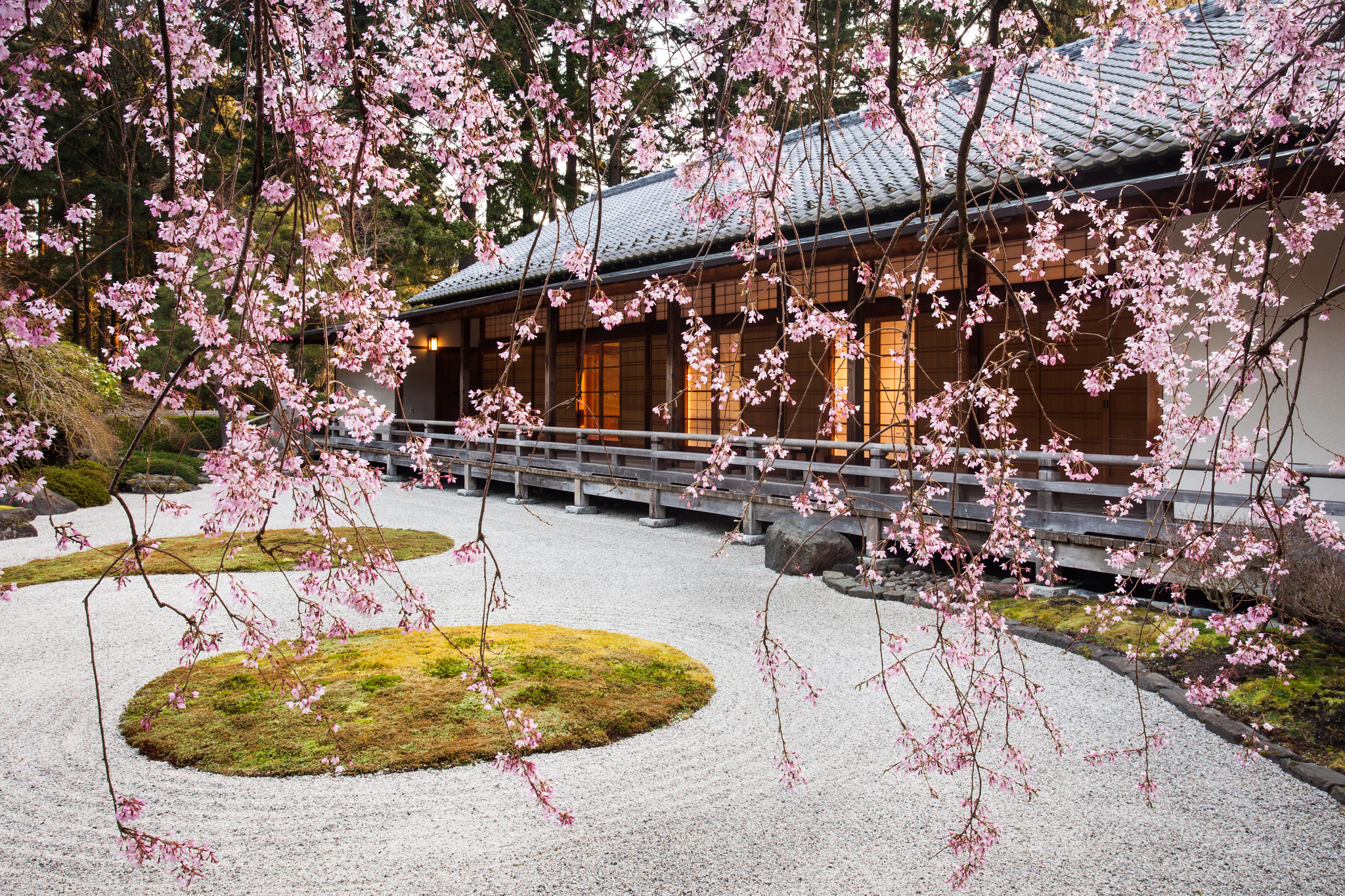Botanical Gardens Portland Japanese Garden