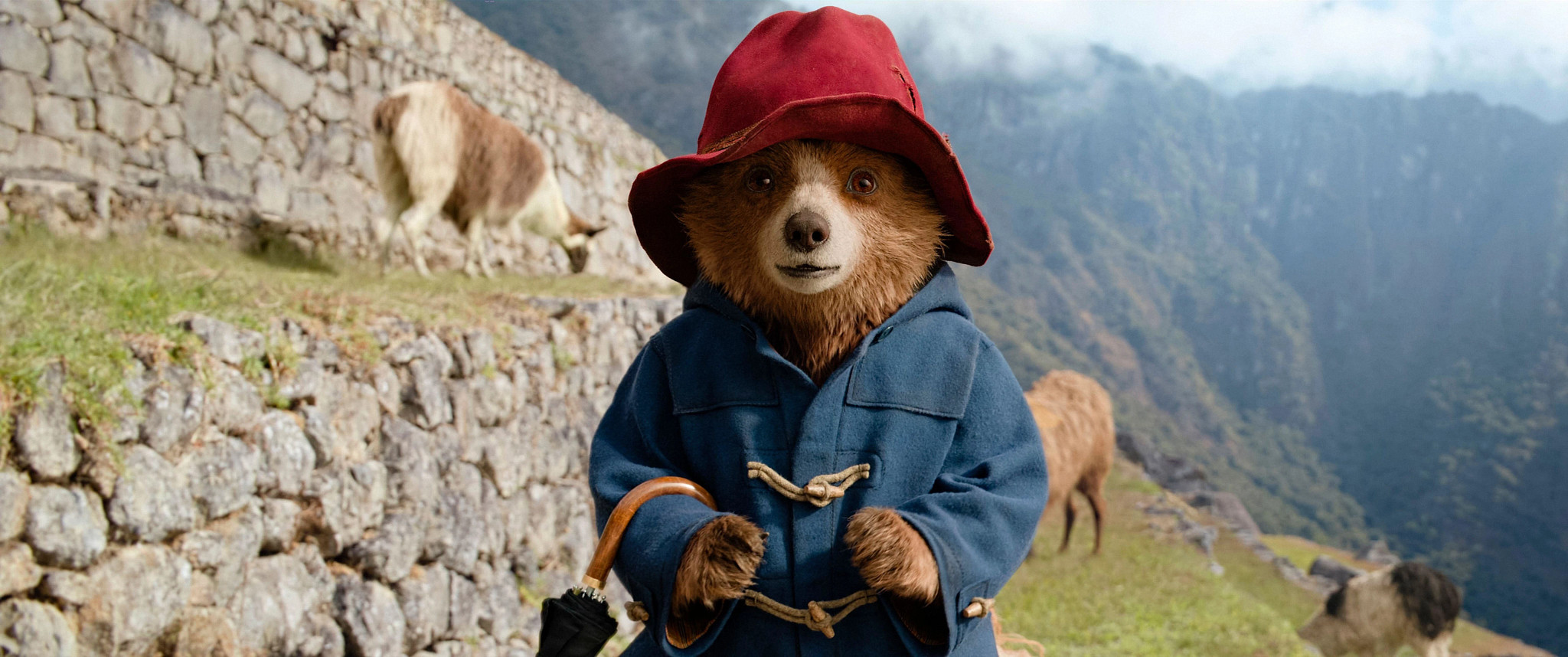 the animated character Paddington Bear in 'Paddington in Peru'