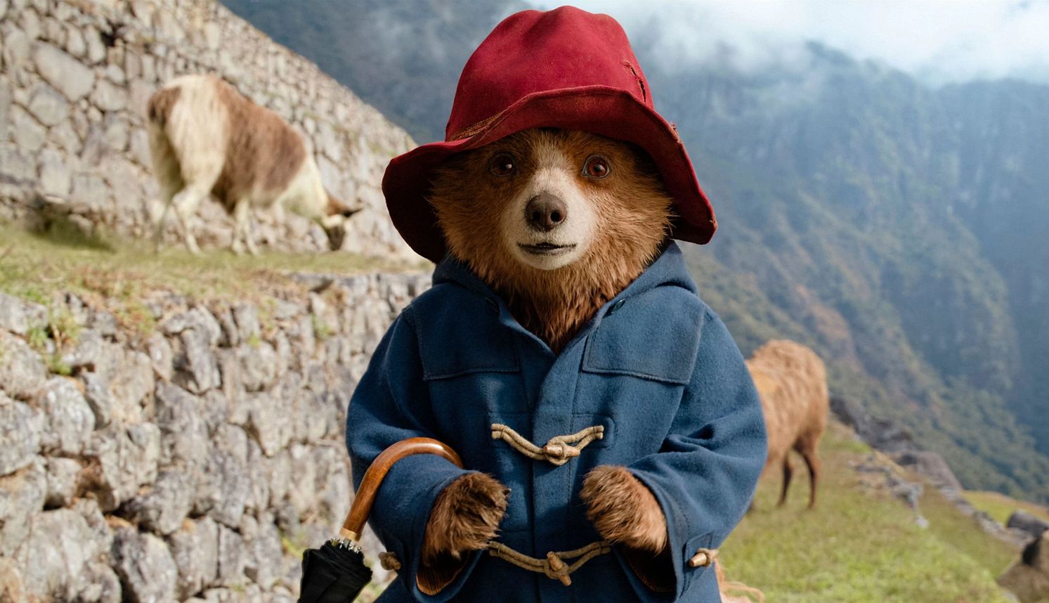 2025’s Movies for Grownups Favorites (So Far) the animated character Paddington Bear in 'Paddington in Peru'