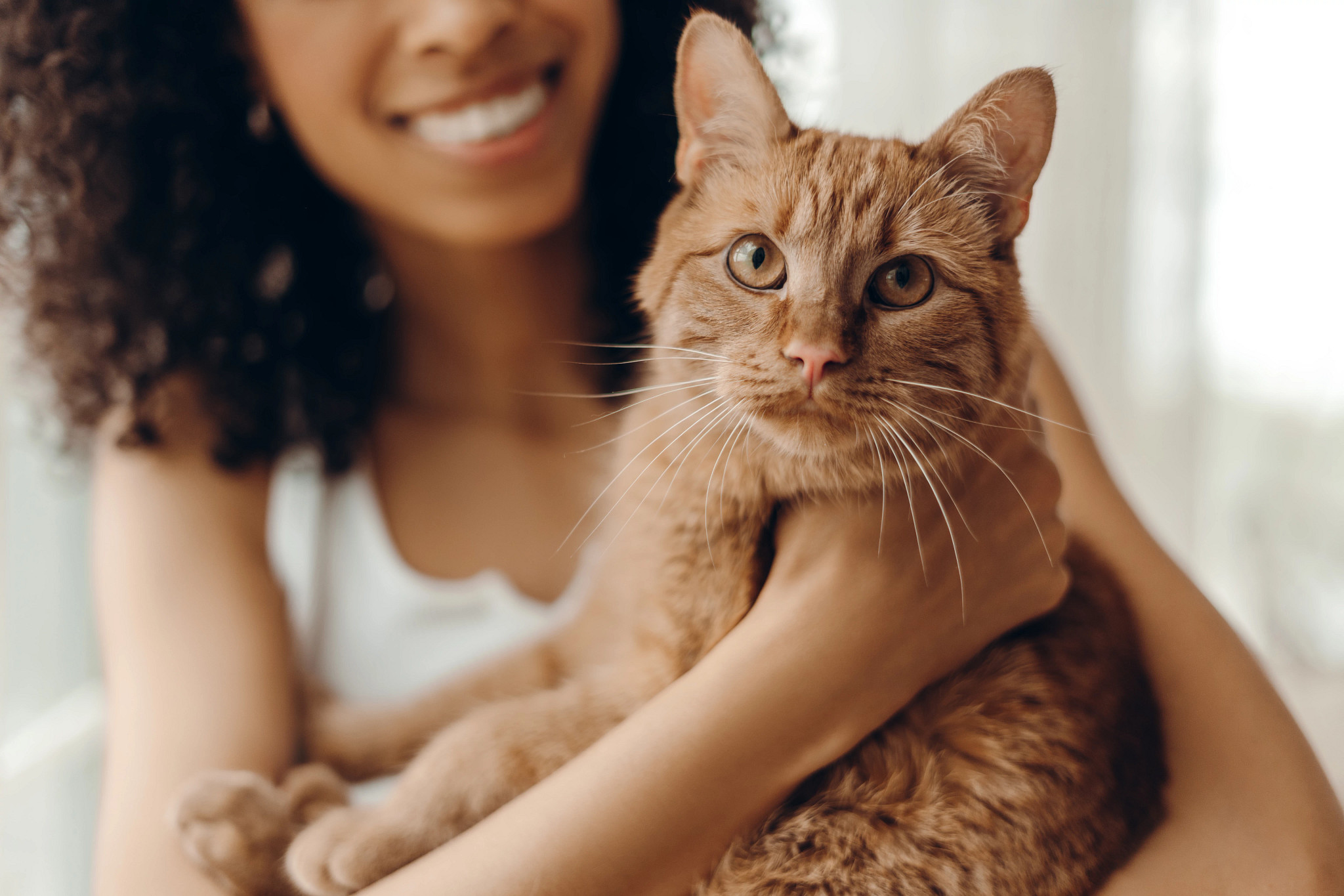 Close up of woman relaxing at home with her cat