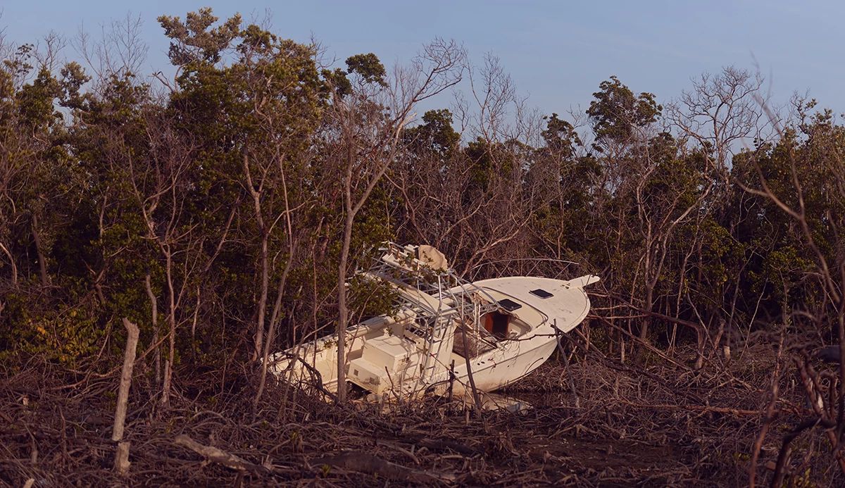 Boat in the woods