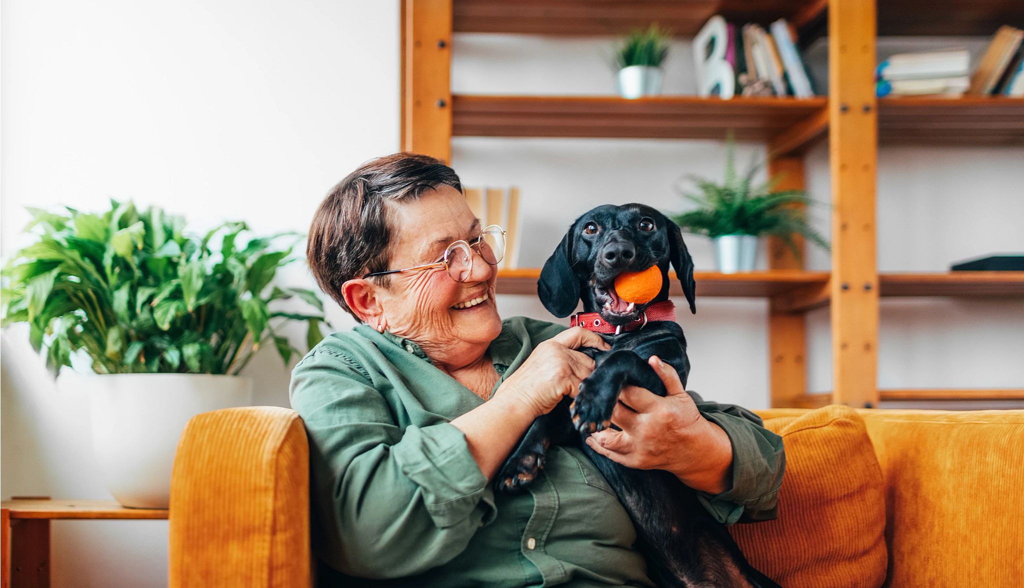 National Dog Day Deals an older adult woman sits on a couch playing with her dog