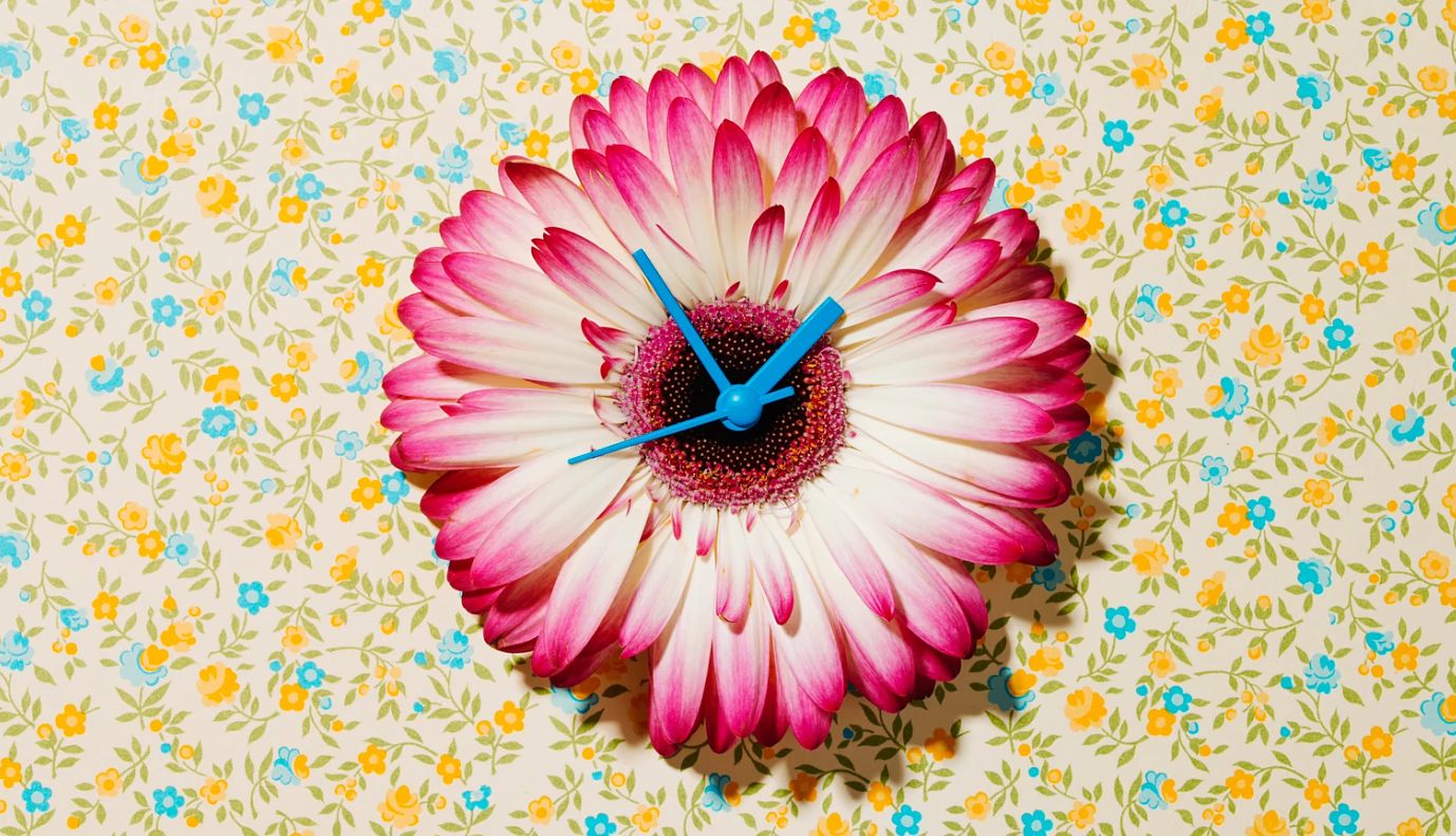 Spring Daylight Saving Time Change flower clock concept