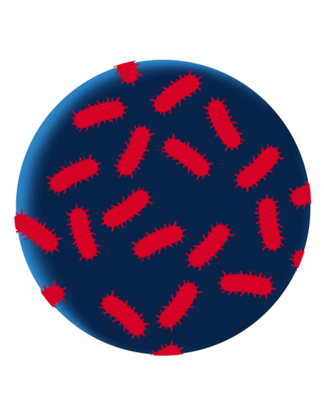 GIF 3