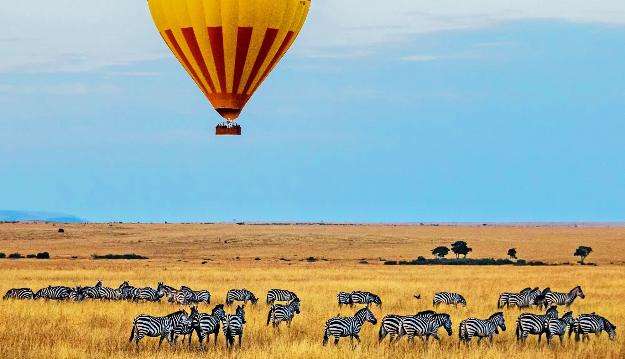 Lissa Ecker went on a hot air balloon ride in Africa A hot-air balloon ride over the African savanna at dawn