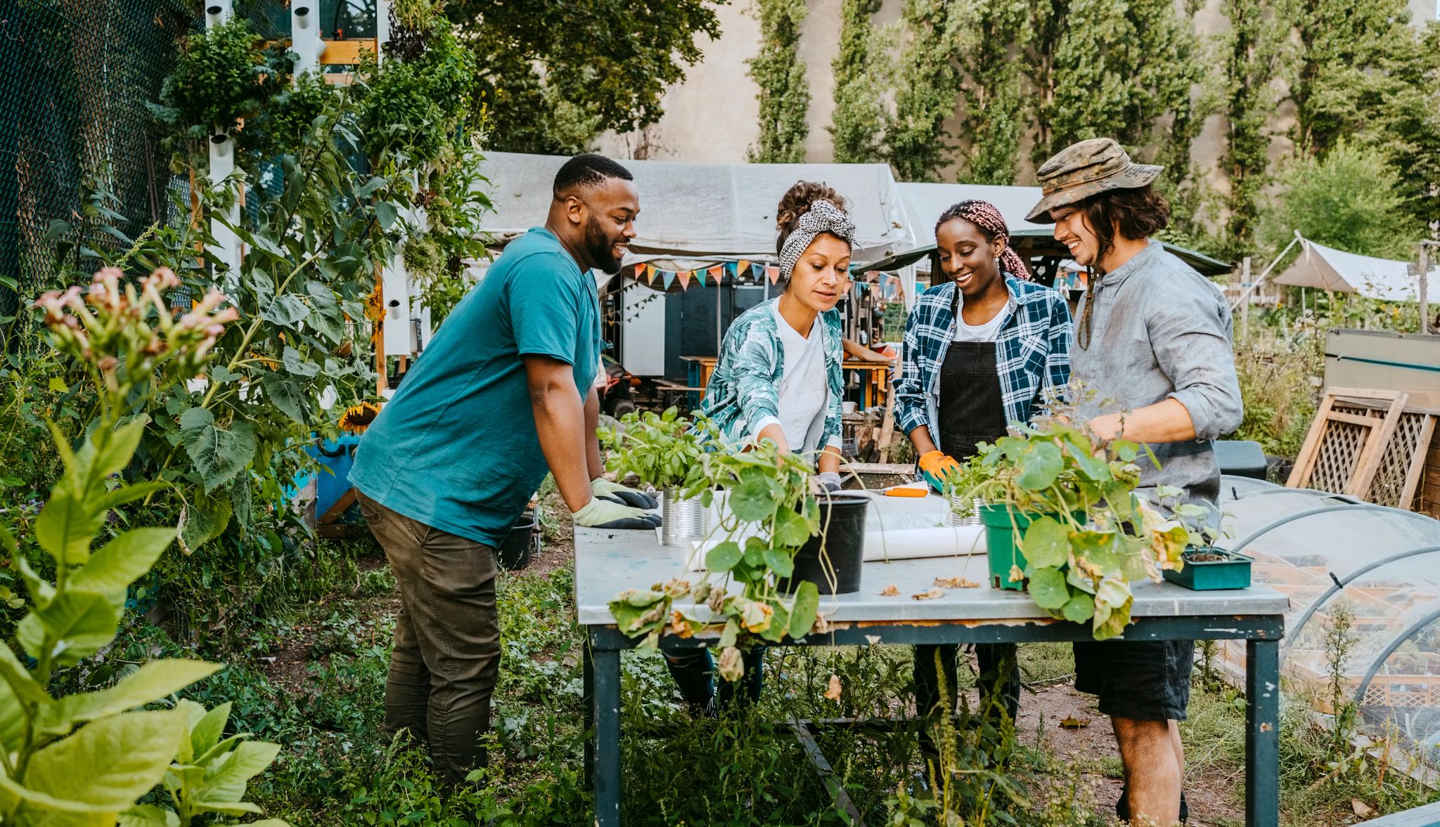 Smart Guide: Indoor Plants A photo shows a group of people (two women, two men), enjoying themselves attending to plants on an outdoor gardening table