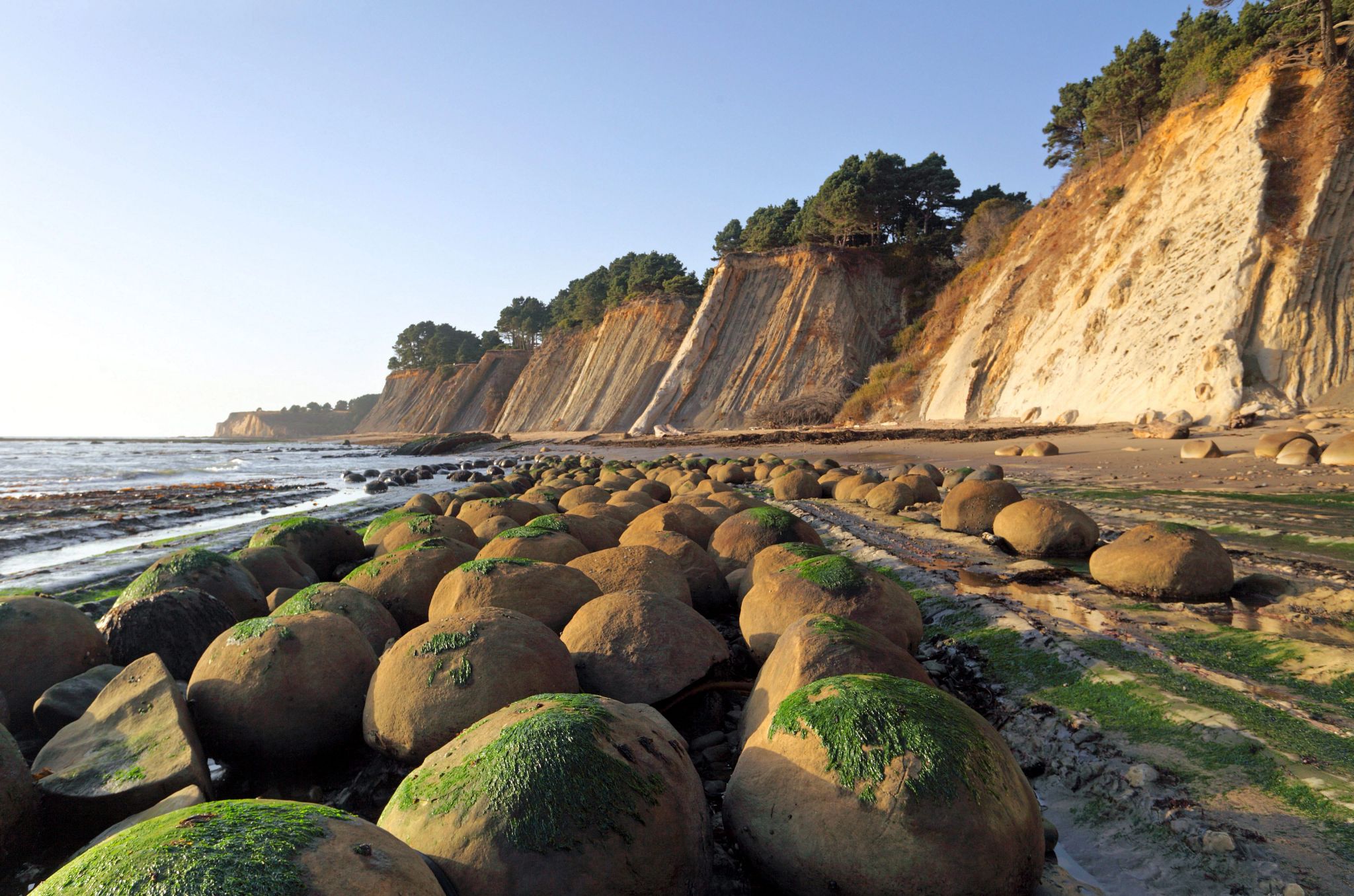 America’s Most Unique Beaches rocks covered with algae at a beach near a cliffside