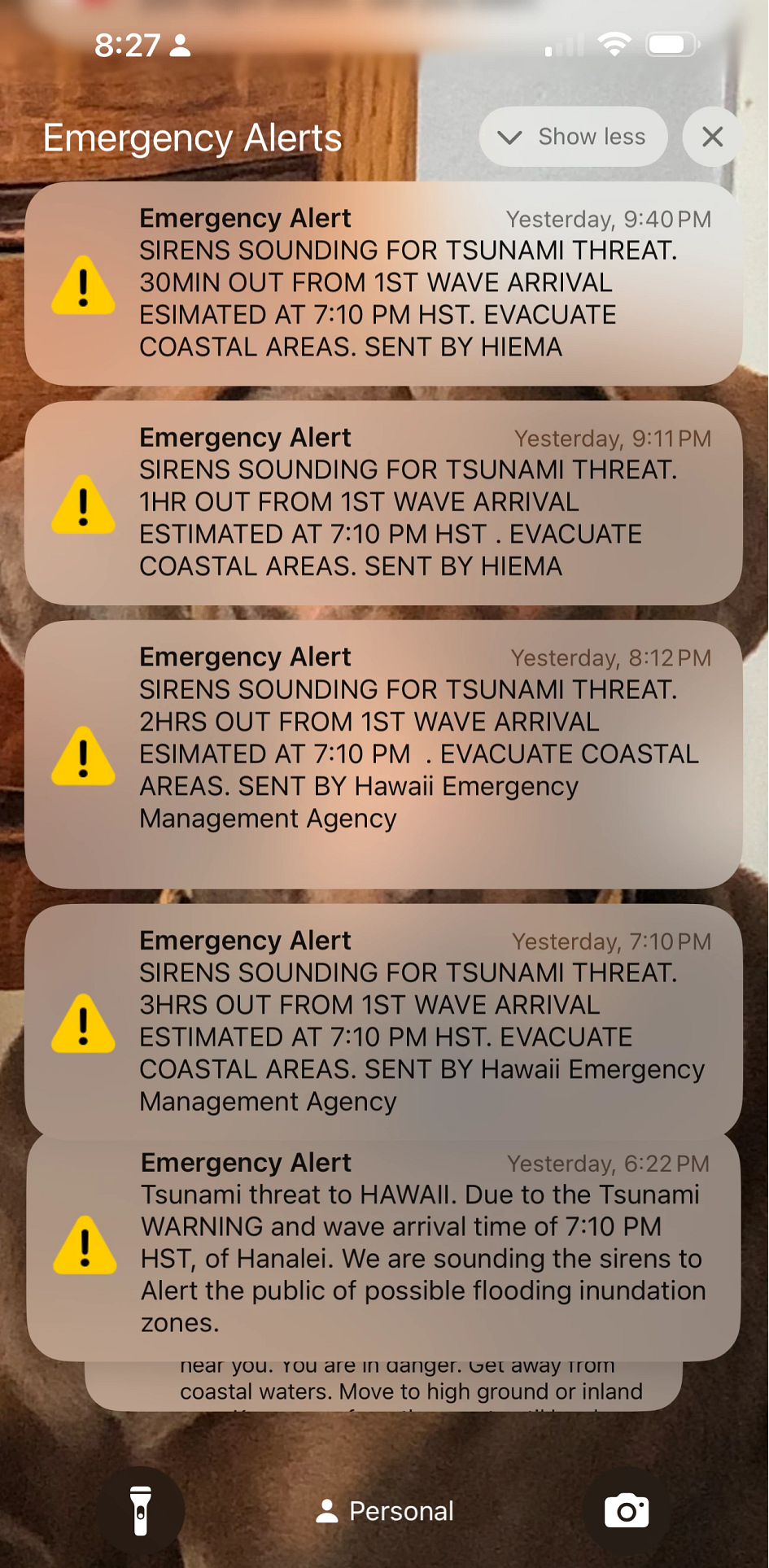 Tsunami Evacuation First Person An iPhone screen filled with emergency alerts
