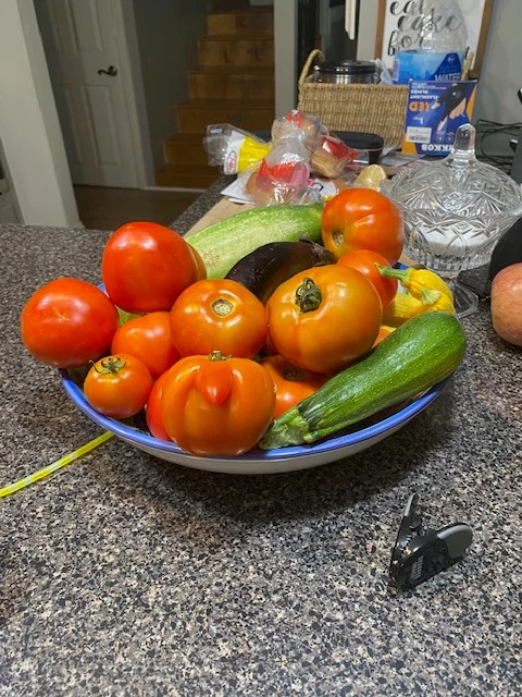 tomatoes