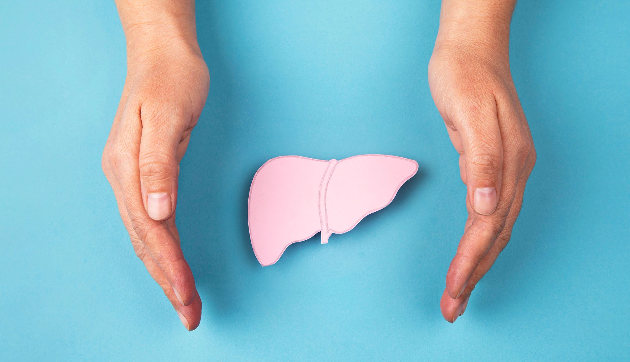 How to Protect Your Liver Two hands around an image of a liver