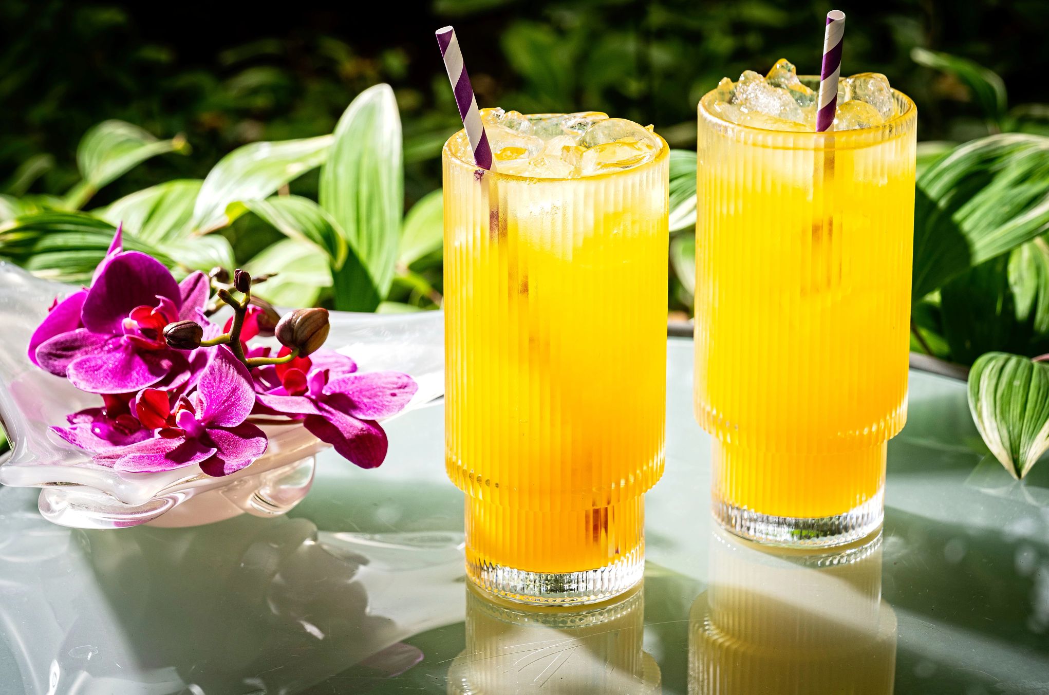 add Sprite or club soda if you want bubbles two glasses of Vodka and Passionfruit on a table