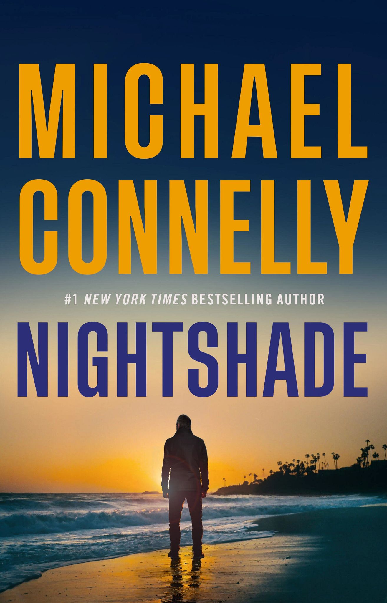 10 New Beach Reads The cover of the book 'Nightshade'
