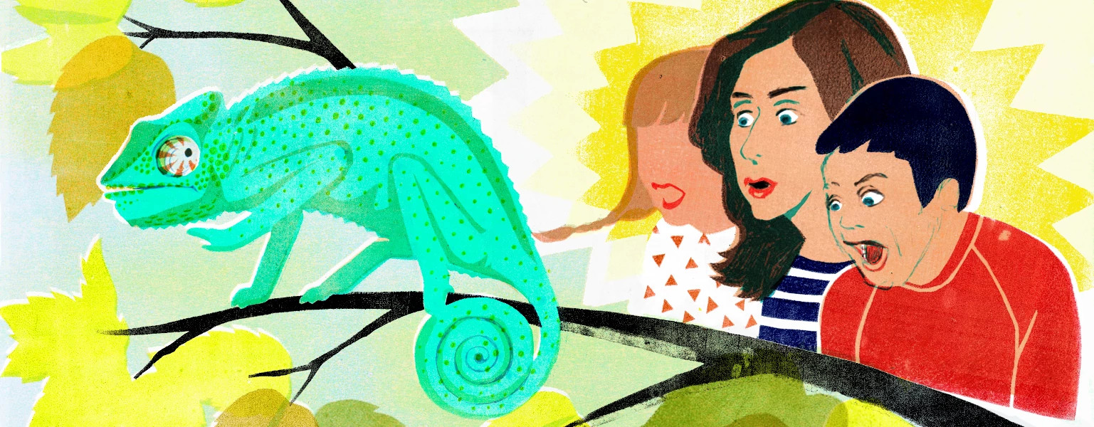 girlfriend, aarp, lizard, parenting