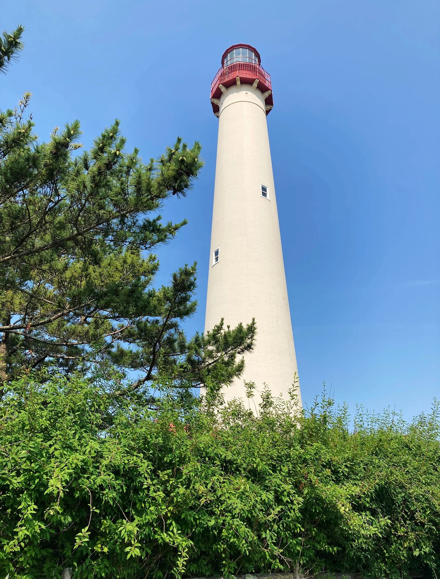 Cape May Lighthouse Cape May Lighthouse surronded by trees