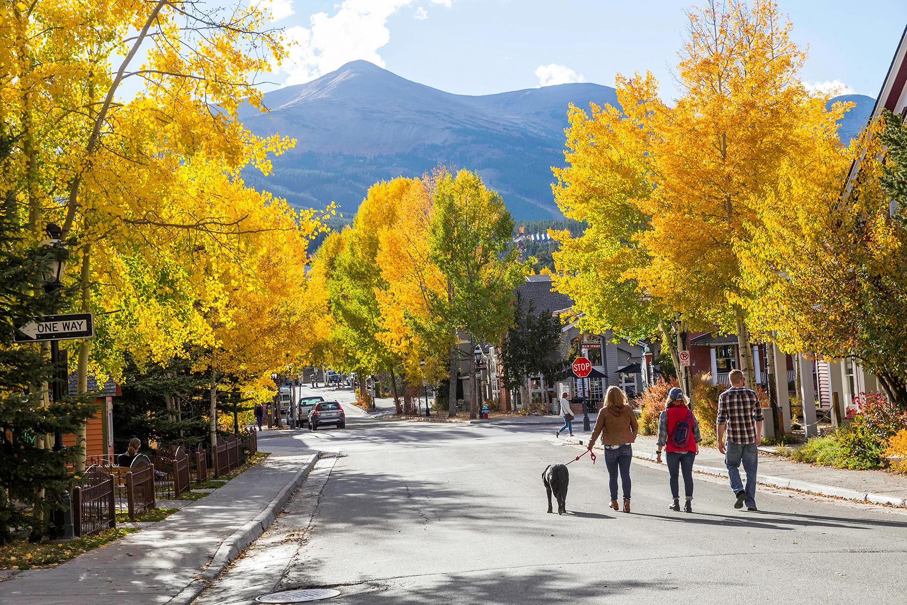 Three people walking a dog through a mountain town lined with golden autumn foliage