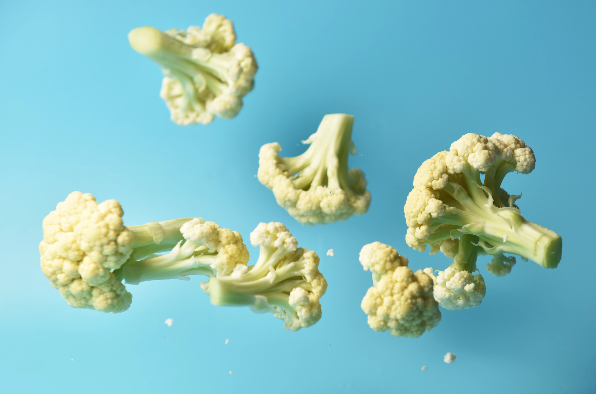 Coliflor sobre un fondo azul