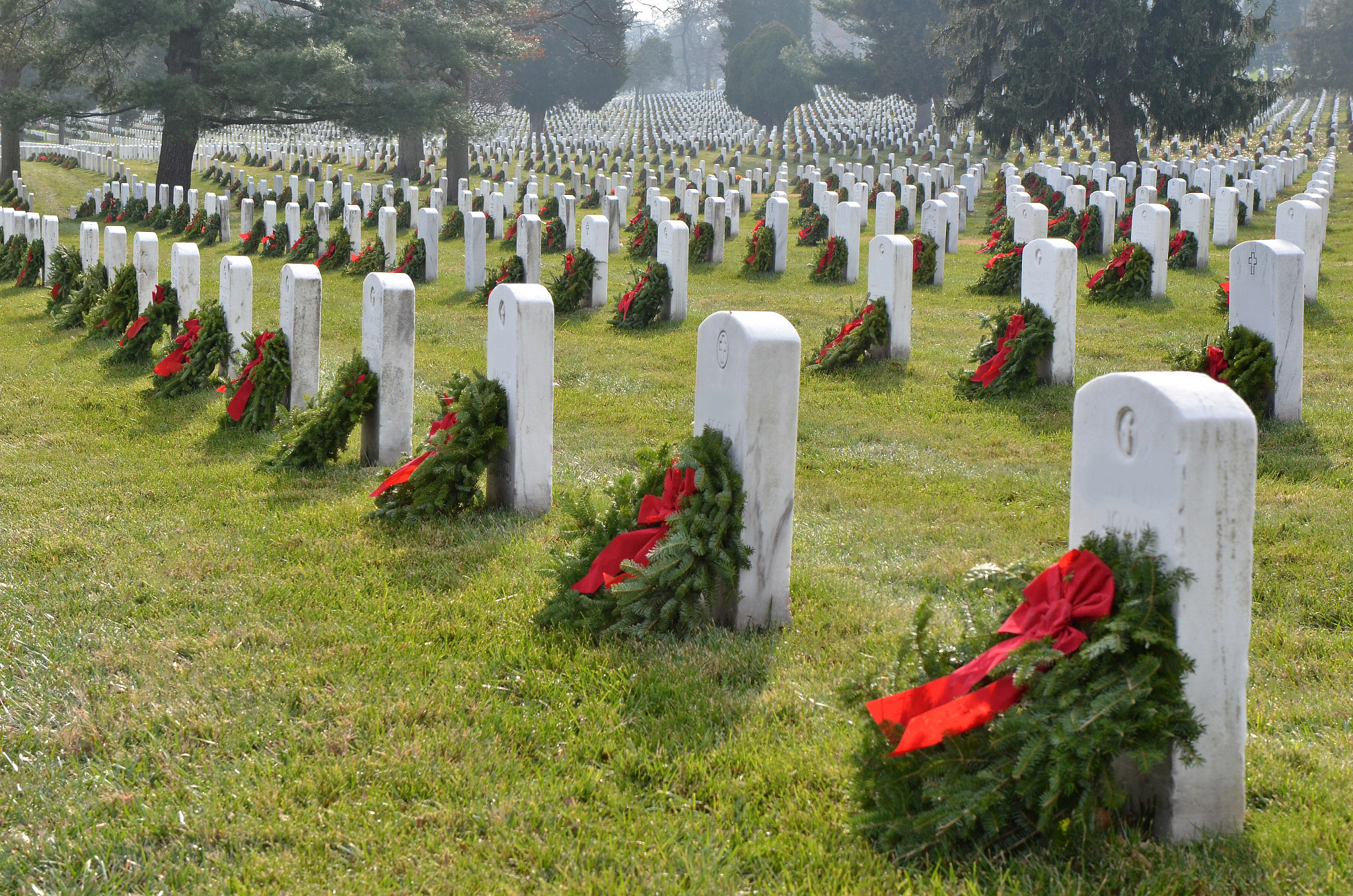 Image of Join Us to Lay Wreaths & Honor Veterans