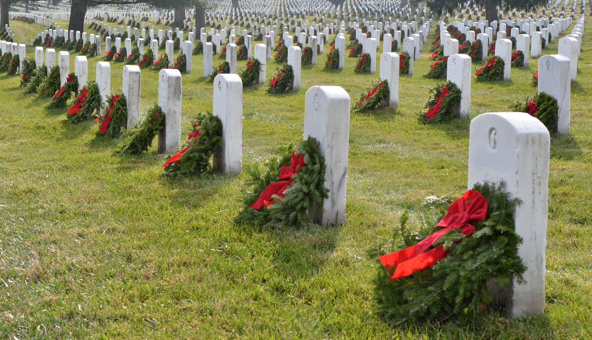 Image of Join Us to Lay Wreaths & Honor Veterans Image of Join Us to Lay Wreaths & Honor Veterans