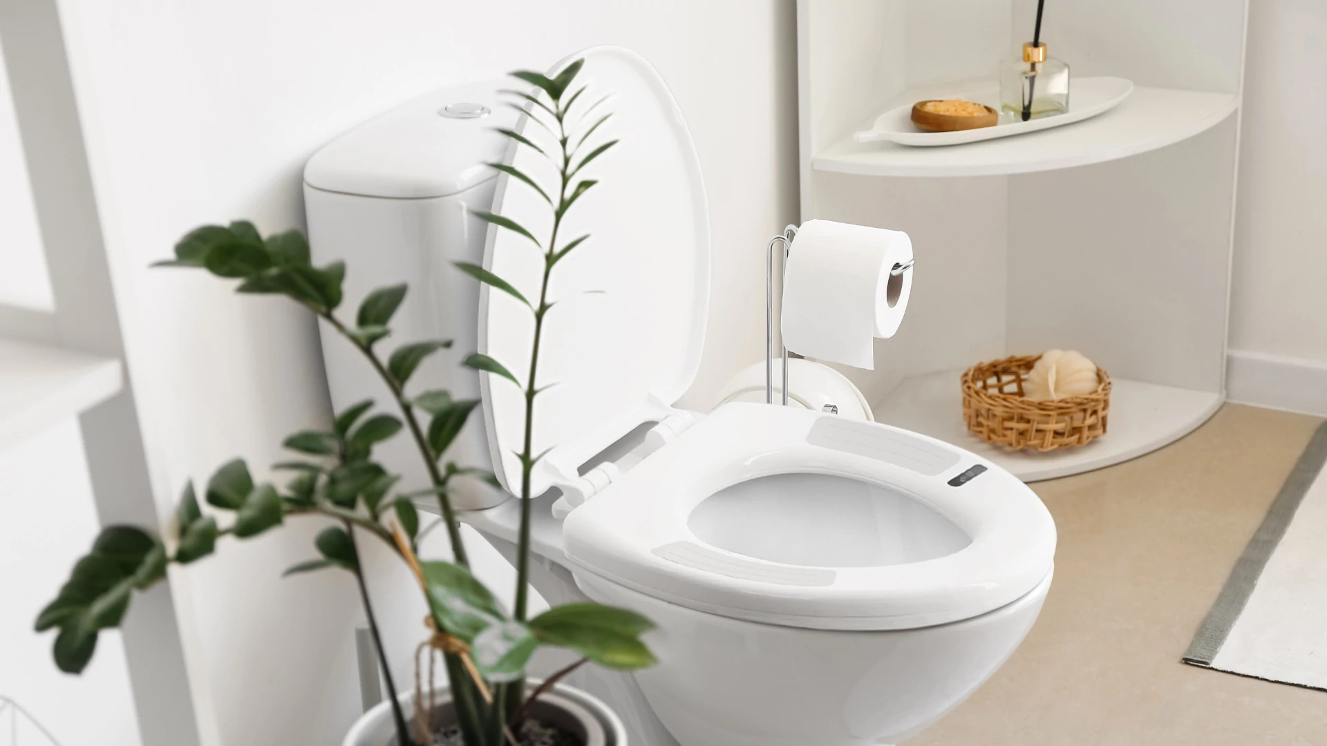 A photo shows Casana's Heart Seat toilet seat