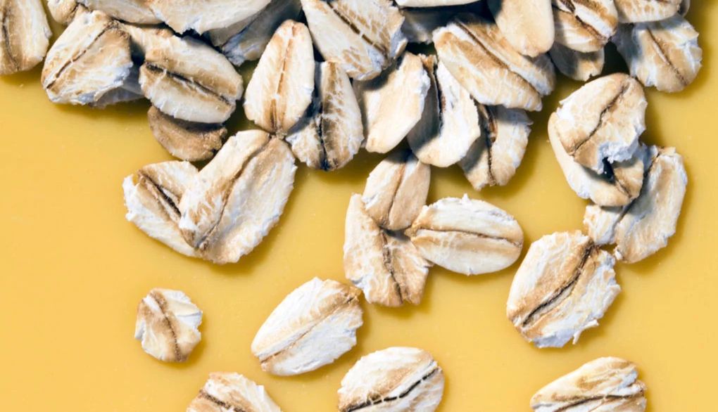 Eating oats can help support brain function An up-close view of oats on a plain background
